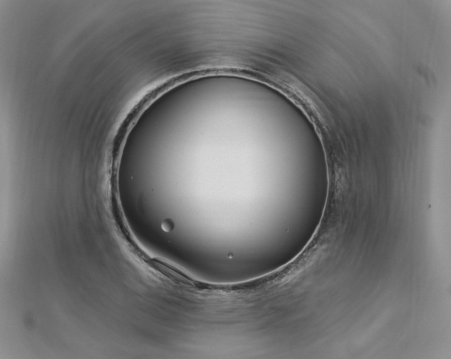 X0000113161124200909041249