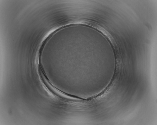 X0000113161127200909041249