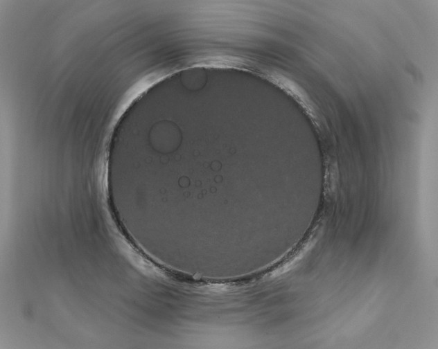 X0000113161130200909041249