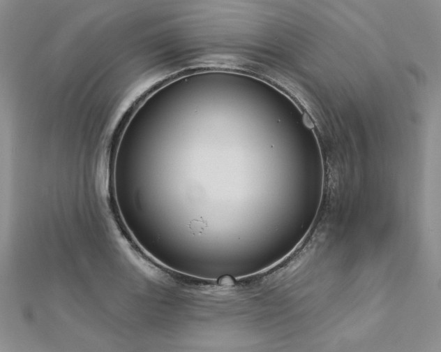 X0000113161131200909041249