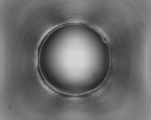 X0000113161132200909041249