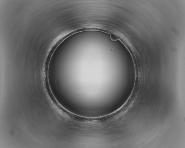 X0000113161133200909041249