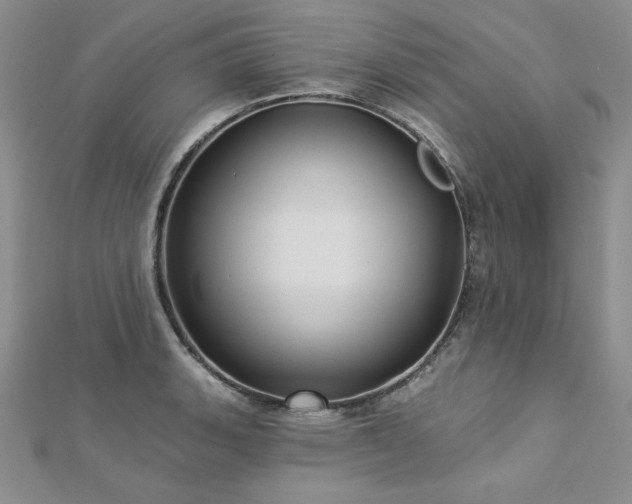 X0000113161135200909041249