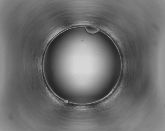 X0000113161137200909041249