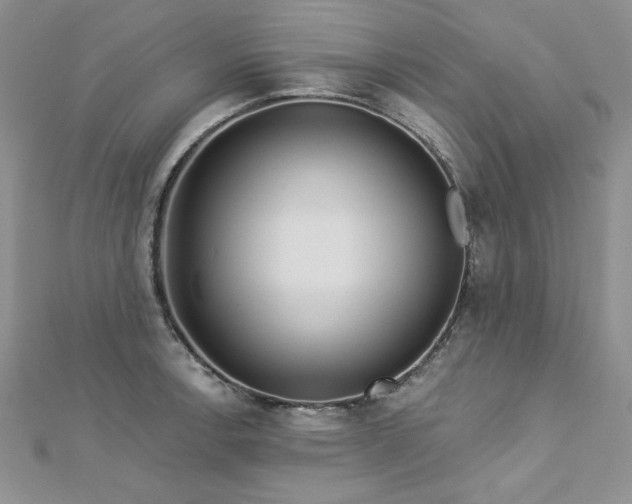 X0000113161138200909041249
