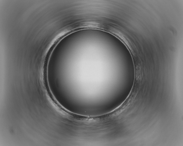 X0000113161139200909041249