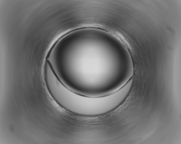 X0000113161140200909041249