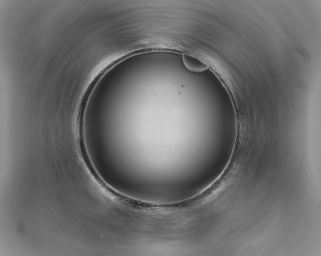 X0000113161141200909041249