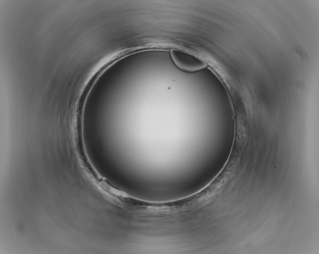 X0000113161142200909041250