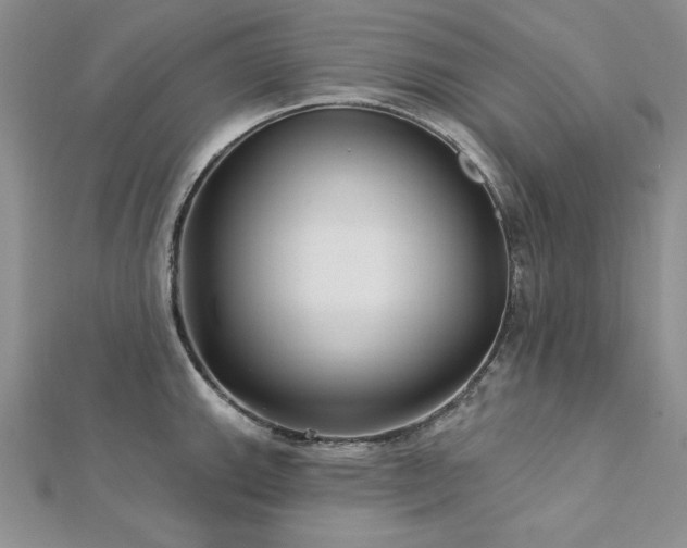 X0000113161143200909041250