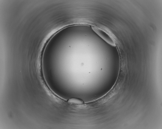 X0000113161144200909041250