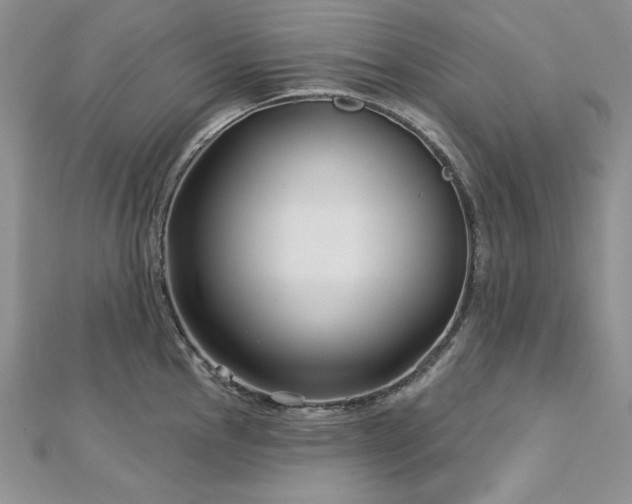 X0000113161145200909041250