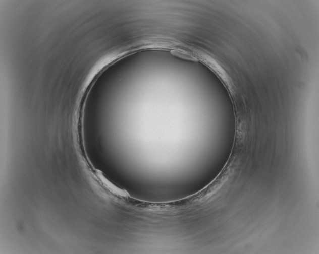 X0000113161146200909041250