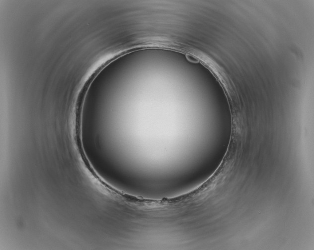 X0000113161147200909041250