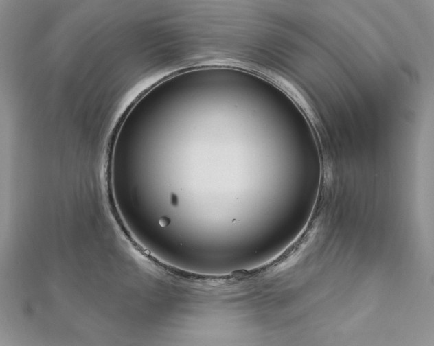 X0000113161149200909041250