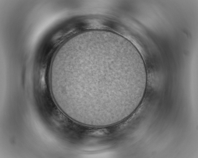 X0000113161150200909041250