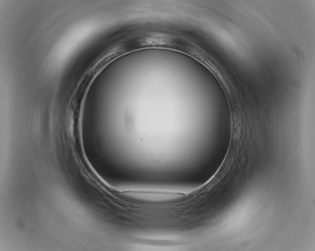 X0000113161151200909041250