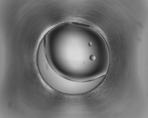 X0000113161152200909041250