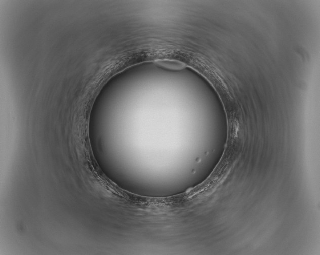 X0000113161153200909041249