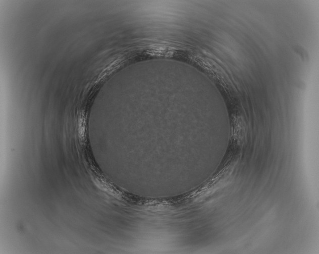 X0000113161154200909041249