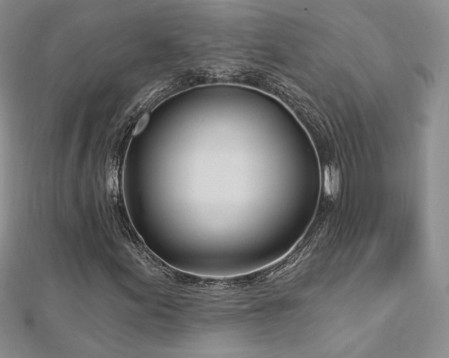 X0000113161155200909041249