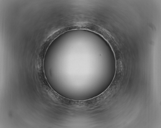 X0000113161158200909041249