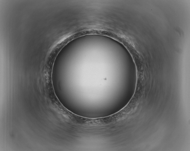 X0000113161159200909041249