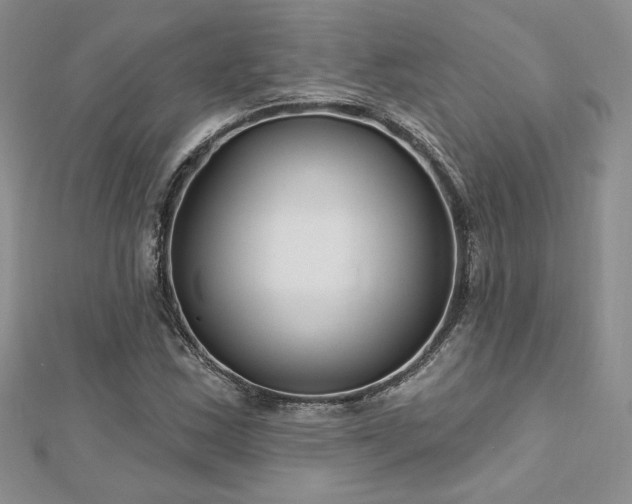 X0000113161163200909041249