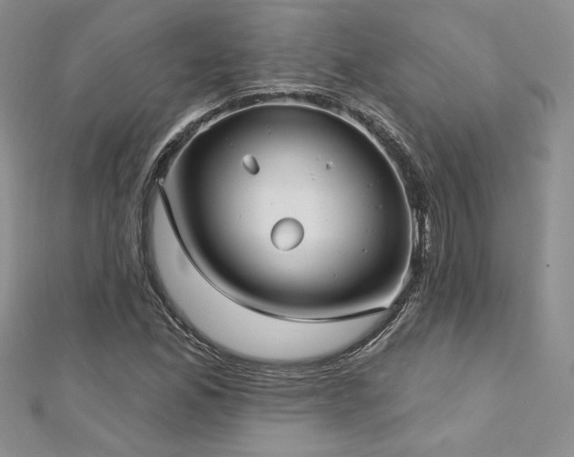 X0000113161165200909041249