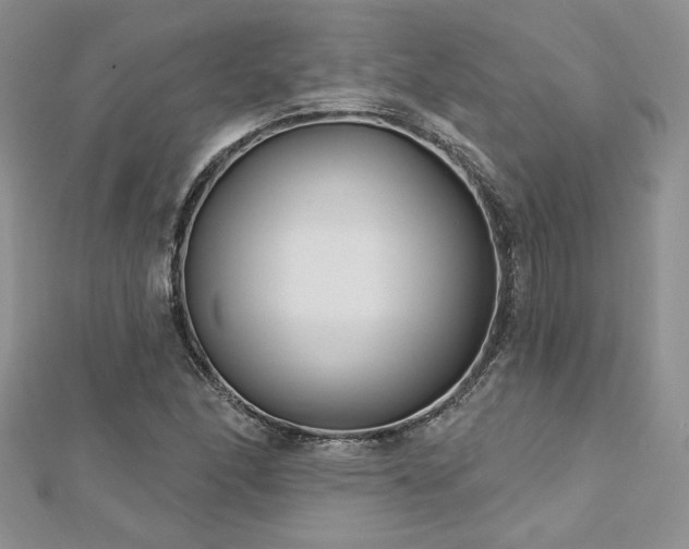 X0000113161166200909041249