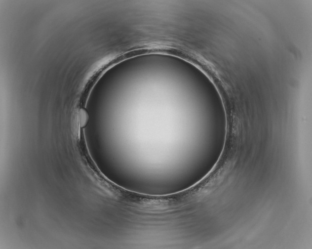 X0000113161171200909041249