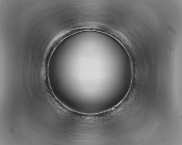 X0000113161172200909041249