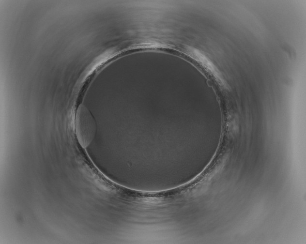 X0000113161173200909041249