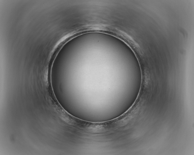X0000113161174200909041249
