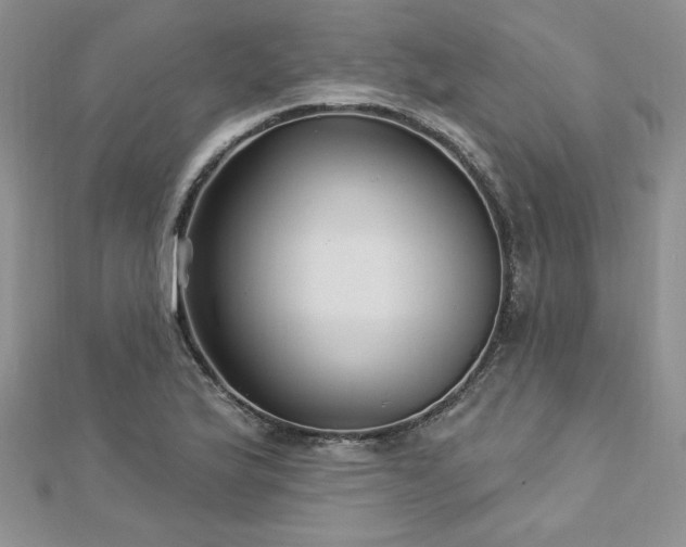 X0000113161175200909041249