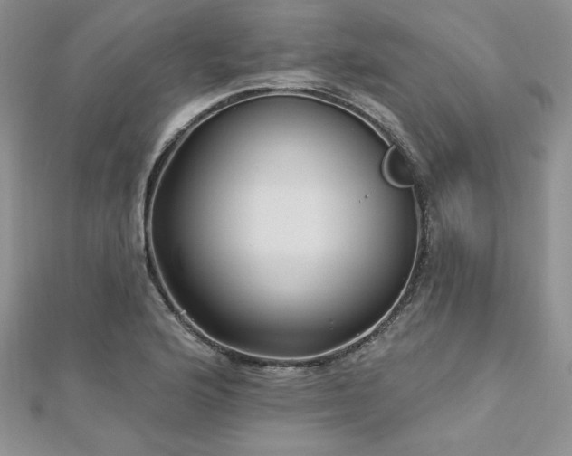 X0000113161176200909041249