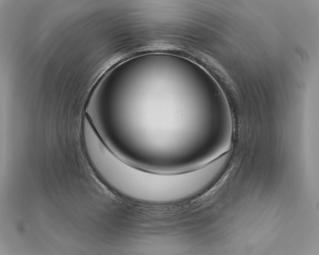 X0000113161177200909041249
