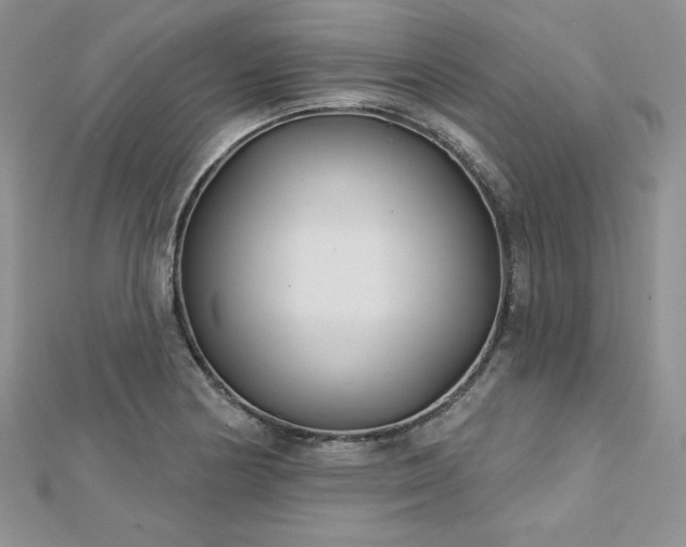 X0000113161178200909041249