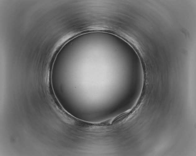 X0000113161179200909041249
