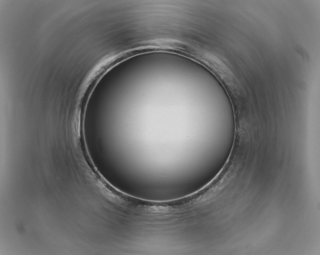 X0000113161180200909041249