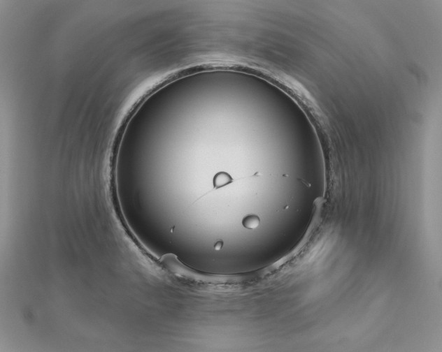 X0000113161183200909041248