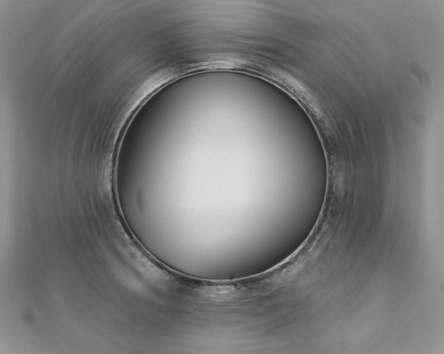 X0000113161186200909041248