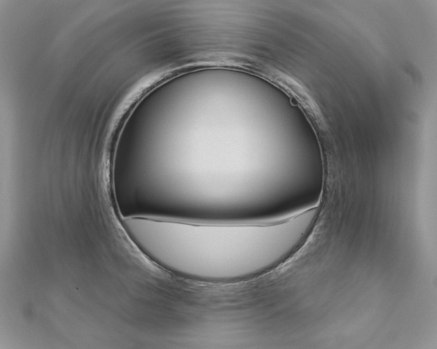X0000113161188200909041248