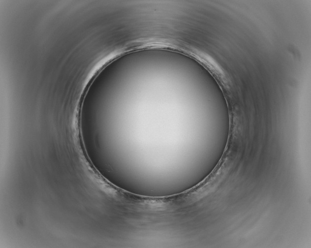 X0000113161190200909041248