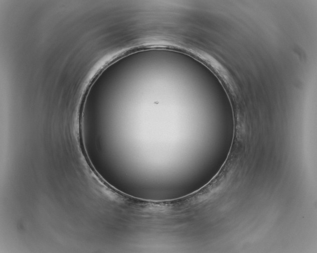 X0000113161191200909041248