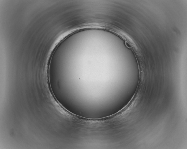 X0000113161192200909041248