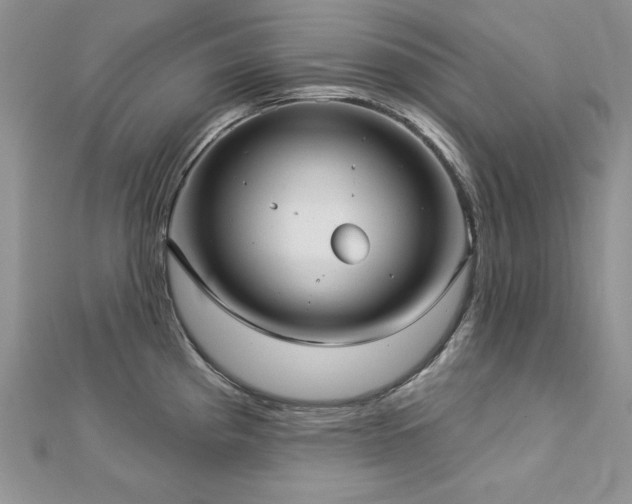 X0000113161193200909041248
