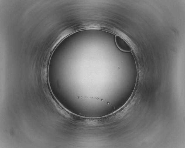 X0000113161194200909041248