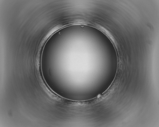 X0000113161195200909041248