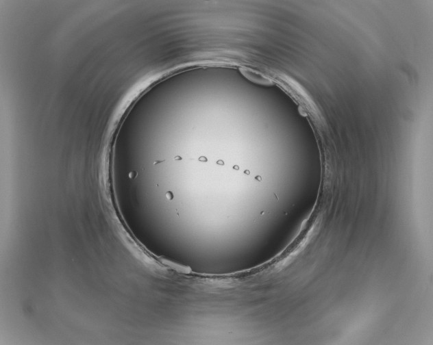 X0000113161196200909041248